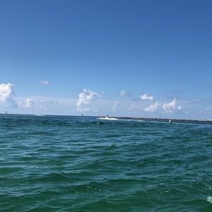 Meet your Posher, Charlee